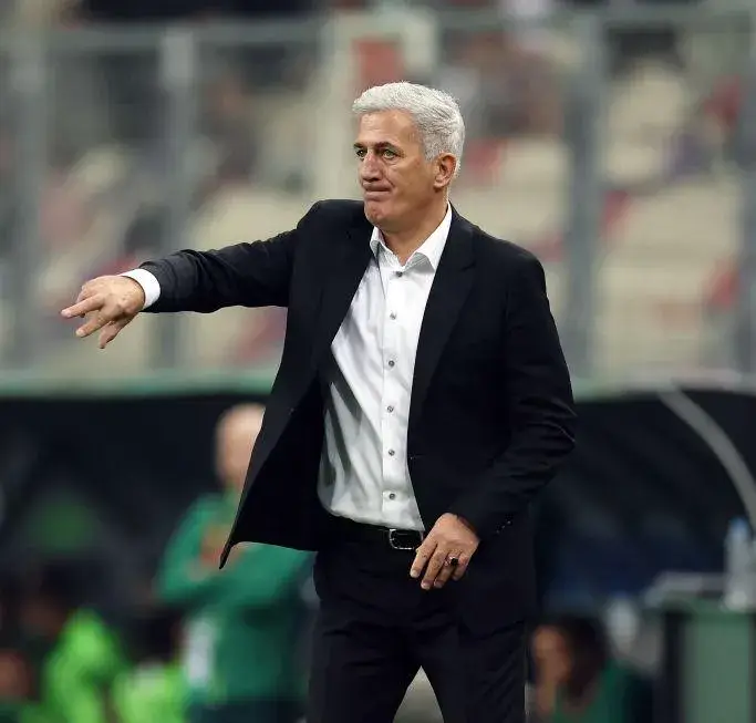 Vladimir Petković